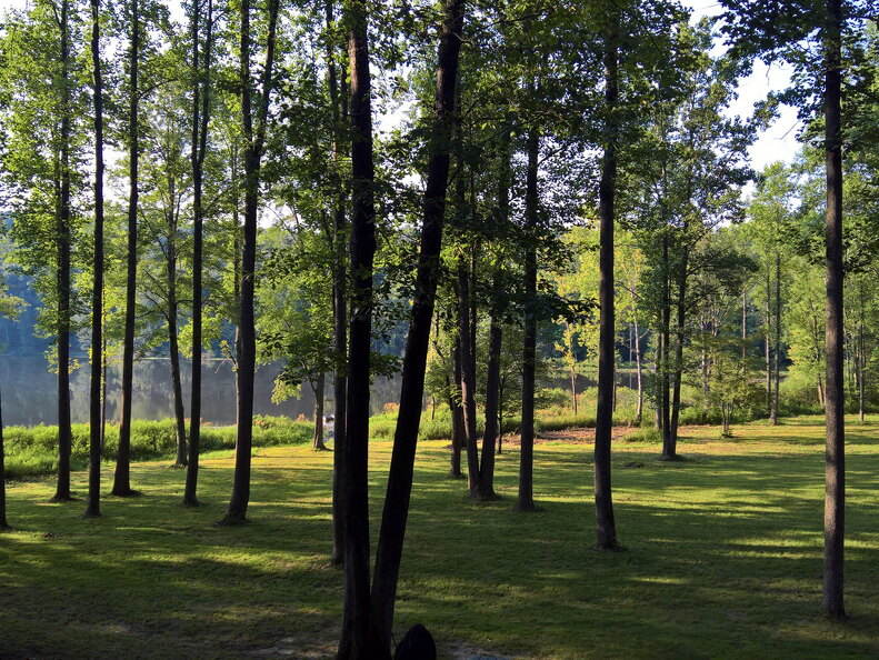 WP-20170810-18-44-15-Rich