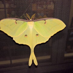 WP-20170810-22-59-10-Rich