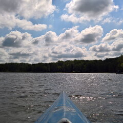 WP-20170812-11-01-25-Rich