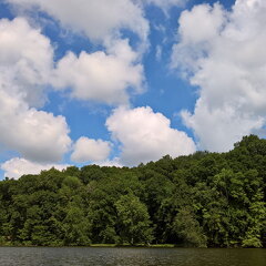 WP-20170812-11-30-55-Rich