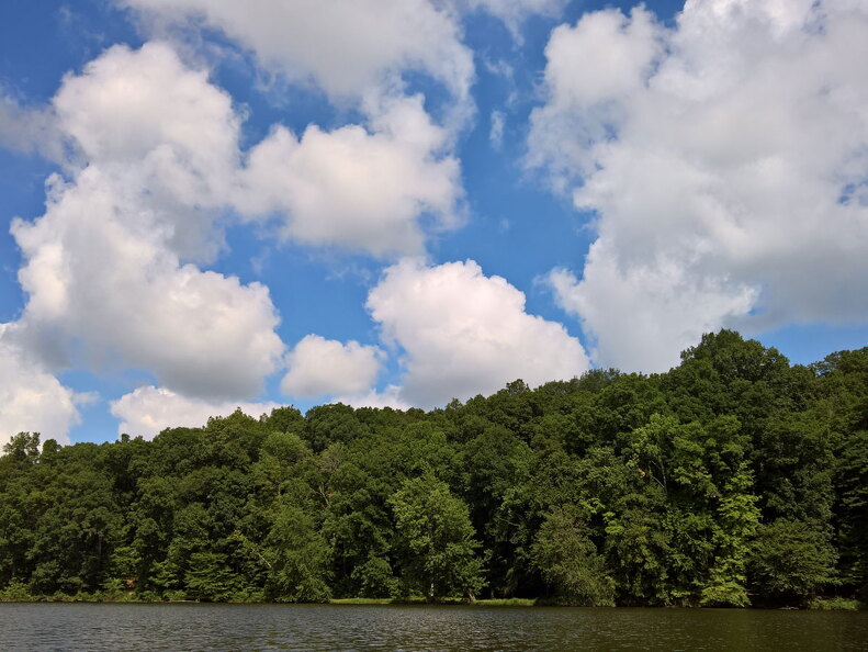 WP-20170812-11-30-55-Rich