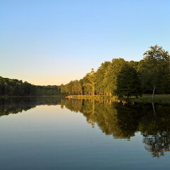 WP-20170812-20-14-08-Rich