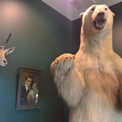 WP-20170813-11-01-11-Rich