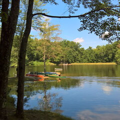 WP-20170813-11-42-11-Rich