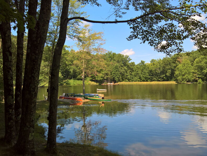 WP-20170813-11-42-11-Rich