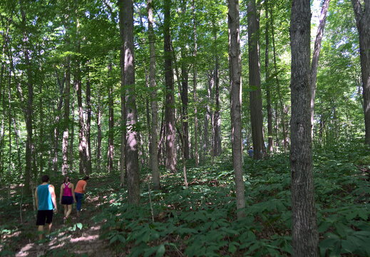 WP-20170813-12-08-21-Rich