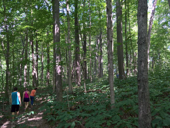 WP-20170813-12-08-21-Rich