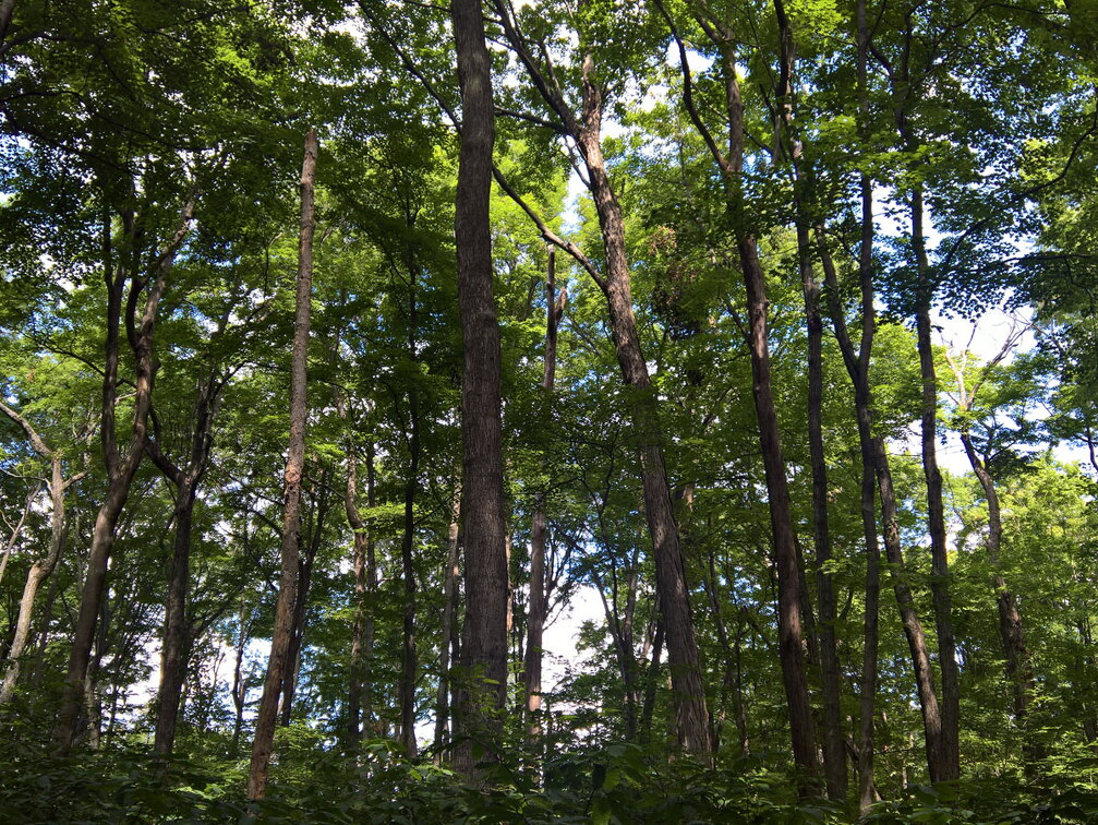 WP-20170813-12-24-05-Rich