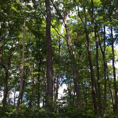 WP-20170813-12-24-05-Rich