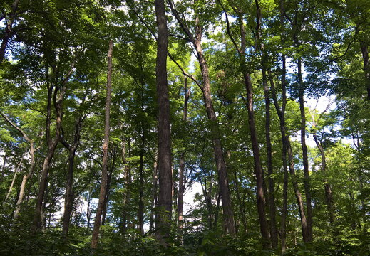 WP-20170813-12-24-05-Rich