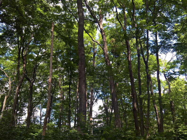 WP-20170813-12-24-05-Rich