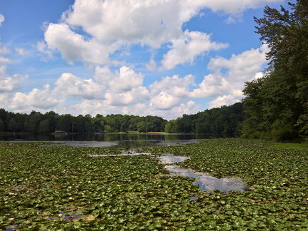 WP-20170813-12-41-57-Rich