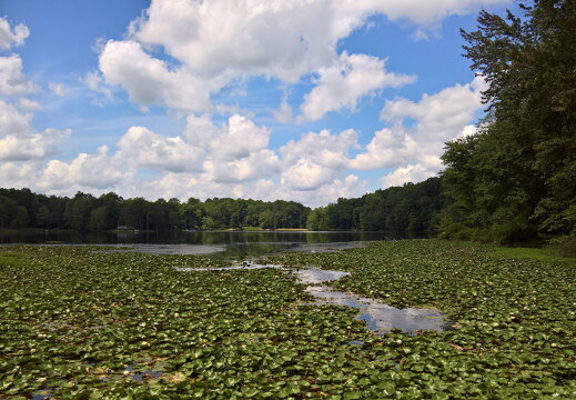 WP-20170813-12-41-57-Rich