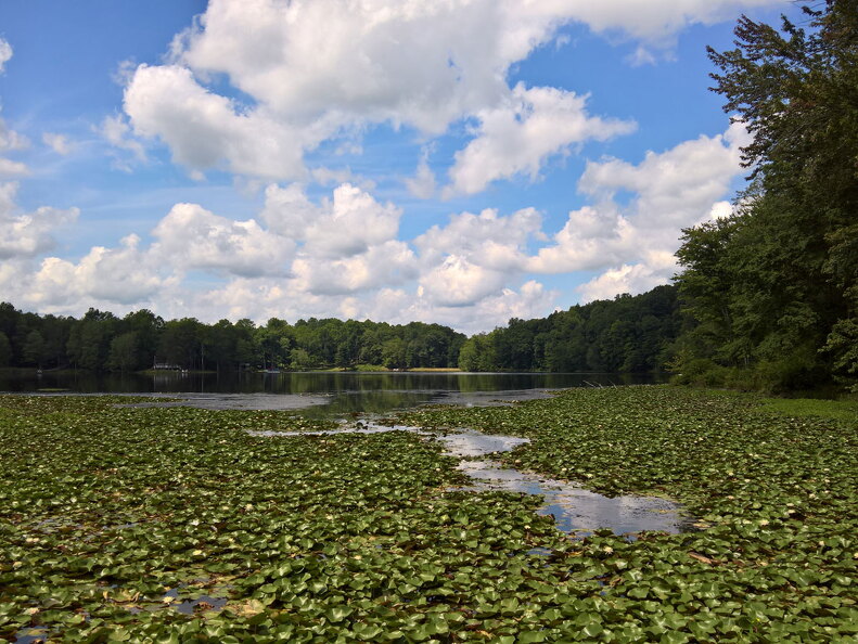 WP-20170813-12-41-57-Rich