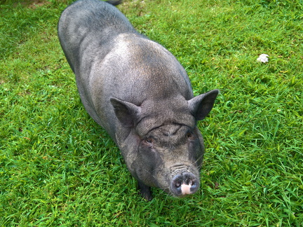 WP-20180810-10-47-09-Pro