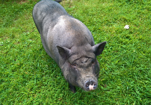 WP-20180810-10-47-09-Pro