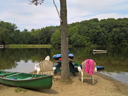 WP-20180810-12-38-59-Pro