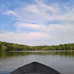 WP-20180810-16-52-43-Rich