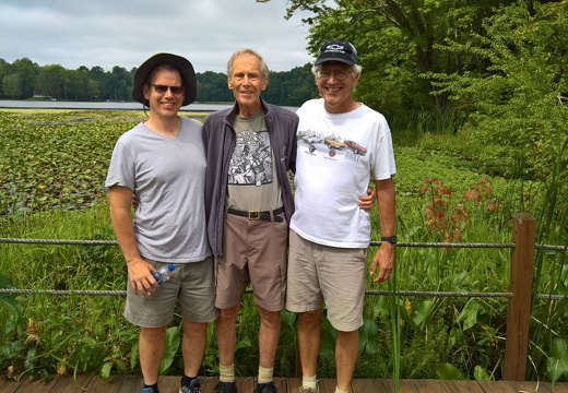 WP-20180811-11-49-15-Rich