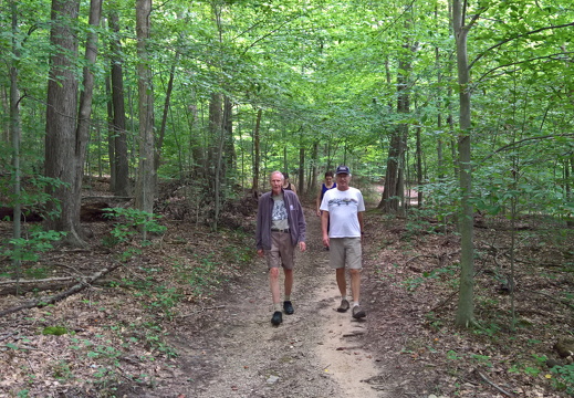 WP-20180811-12-03-28-Rich