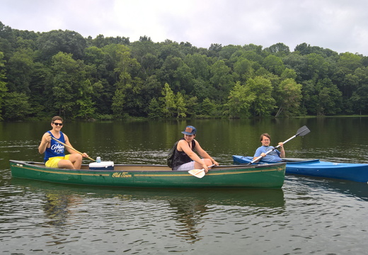 WP-20180811-16-07-44-Pro