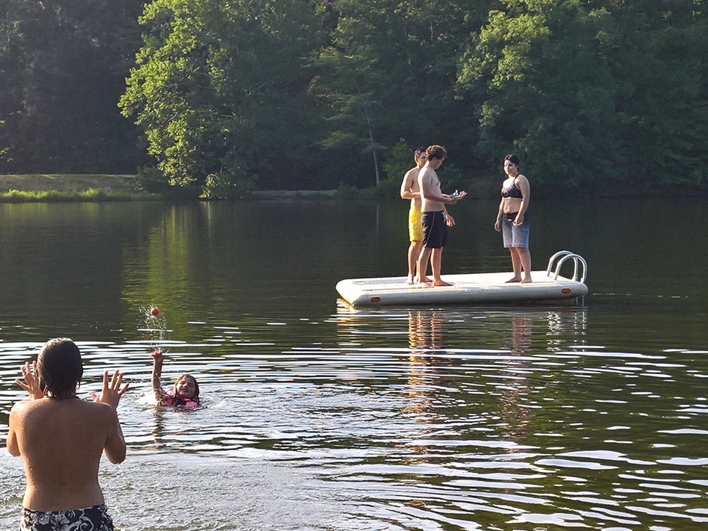 WP-20180811-18-29-55-Pro