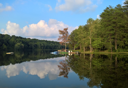 WP-20180811-19-10-18-Pro