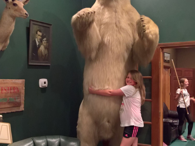 WP-20180811-20-58-04-Pro