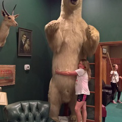 WP-20180811-20-58-04-Pro