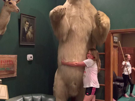 WP-20180811-20-58-04-Pro