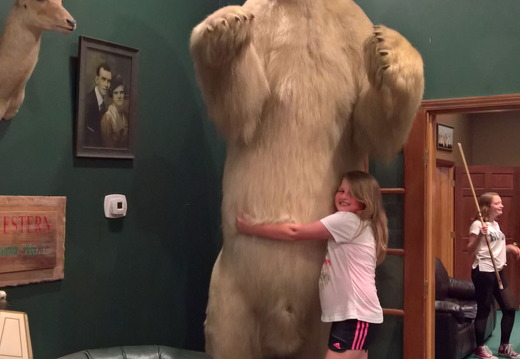 WP-20180811-20-58-04-Pro