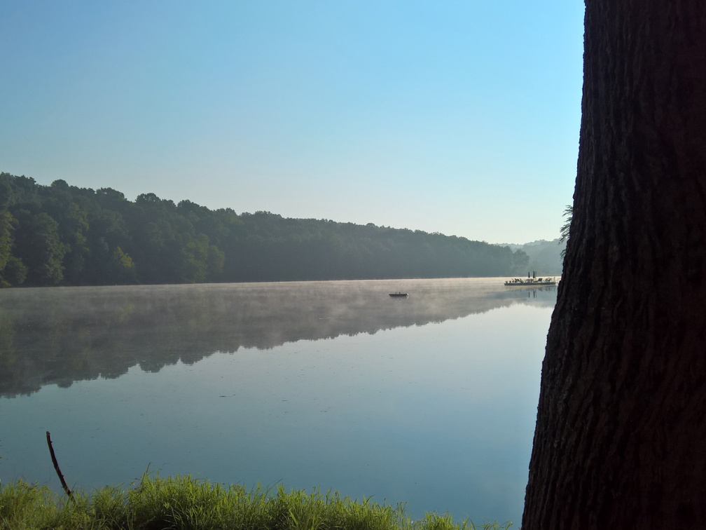 WP-20180812-08-23-50-Pro