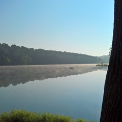 WP-20180812-08-23-50-Pro