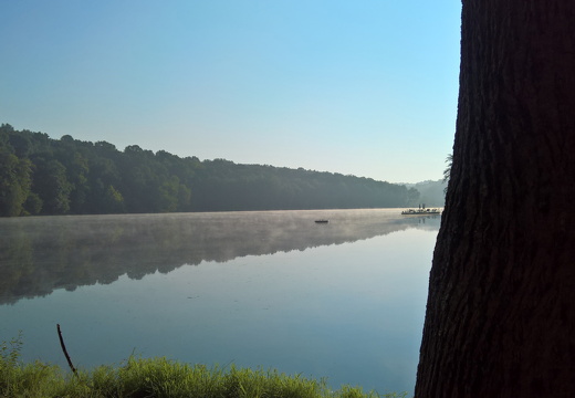 WP-20180812-08-23-50-Pro