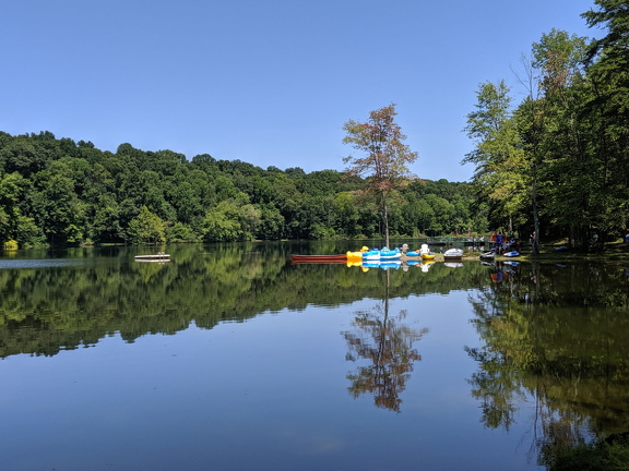 00000PORTRAIT-00000-BURST20190810140758118