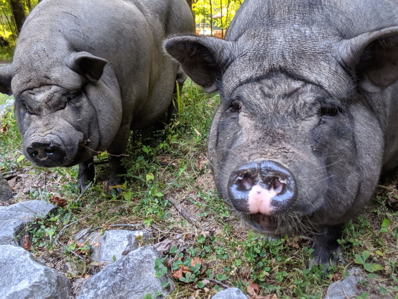 00000PORTRAIT-00000-BURST20190810193011394