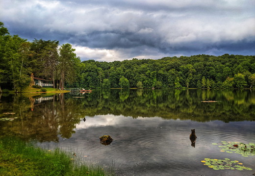 PXL 20210812 213556922-01