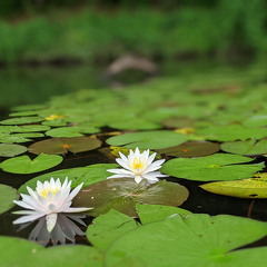 PXL 20210813 154041372-PORTRAIT