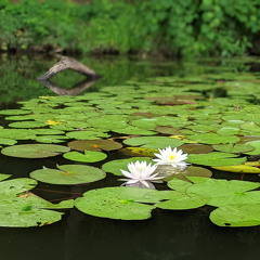 PXL 20210813 154148455-PORTRAIT