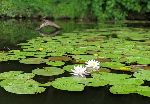 PXL 20210813 154148455-PORTRAIT