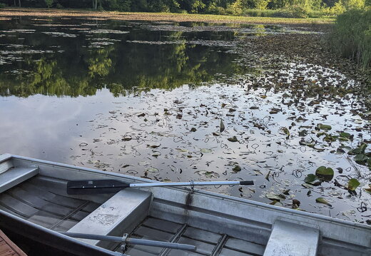 PXL 20210814 122920896