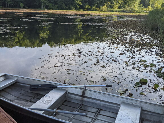 PXL 20210814 122920896