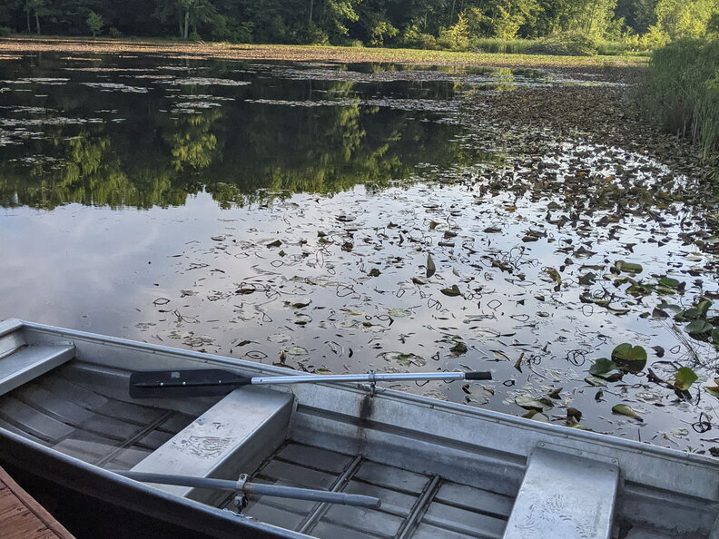 PXL 20210814 122920896