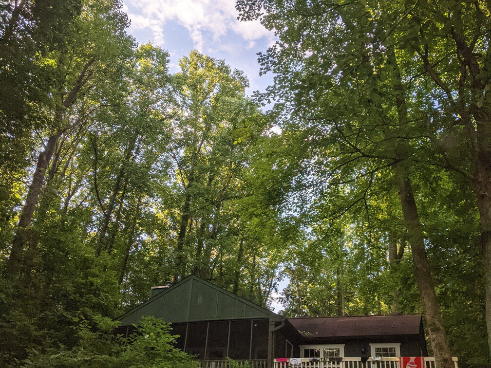 PXL 20210814 123128525