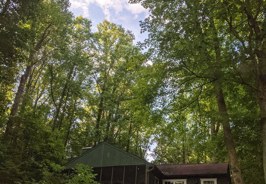 PXL 20210814 123128525