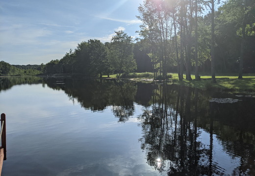 PXL 20210814 131136477