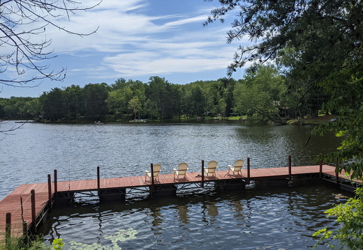 PXL 20210814 160109412