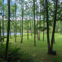 PXL 20210814 184549528