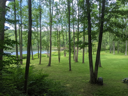 PXL 20210814 184549528