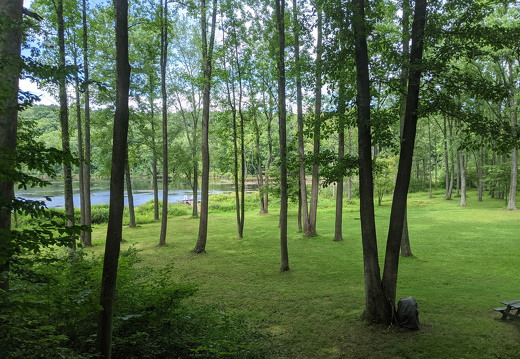 PXL 20210814 184549528